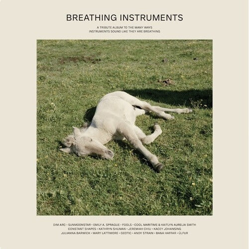 Breathing Instruments / Various - Breathing Instruments / Various - Vinyl Record