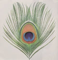Xtc - Apple Venus 1 - Music CD