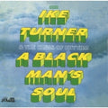 Turner,ike & The Kings Of Rhythm - Black Man's Soul - Music CD