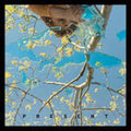 Dog Day - Present - Music CD