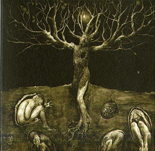 All Traps On Earth - Drop Of Light - Music CD