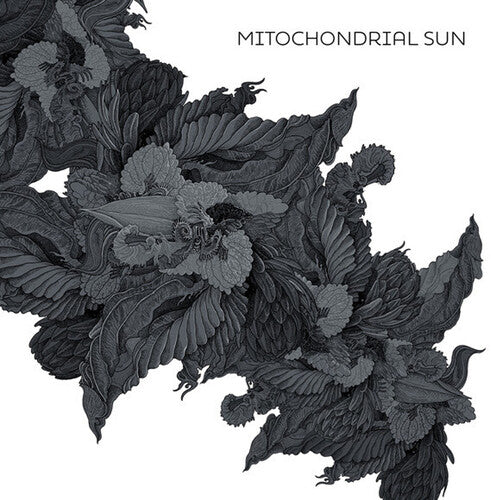 Mitochondrial Sun - Mitochondrial Sun - Music CD