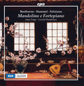 Beethoven / Torge / Hambitzer - Mandolino E Fortepiano - Music CD