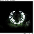Birds Of Bellwoods - Victoria - Vinyl Record
