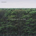 Semisonic - You're Not Alone - Vinyl Record