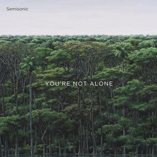 Semisonic - You're Not Alone - Vinyl Record