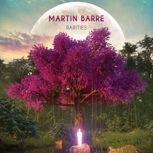 Barre,martin - Rarities - Vinyl Record