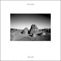 Ahmed Ag Kaedy - Akaline Kidal - Vinyl Record