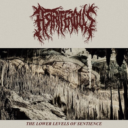Astriferous - Lower Levels Of Sentience - Vinyl Record