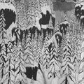 Paysage D'hiver - Schattengang - Music CD