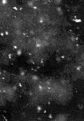 Paysage D'hiver - Einsamkeit - Music CD