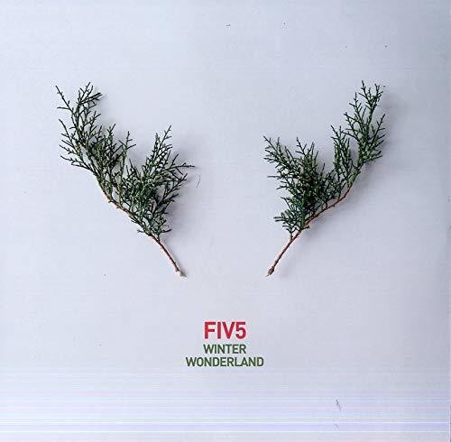 Fiv5 - Winter Wonderland - Vinyl Record