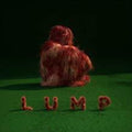 Lump - Lump - Vinyl Record