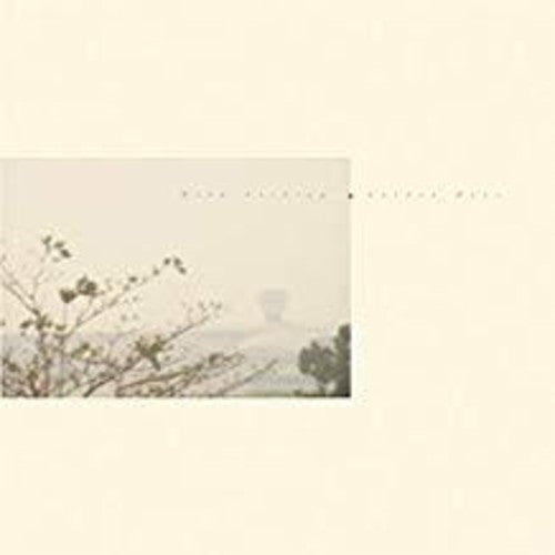 Wild Nothing - Golden Haze (ct10 Edition) - Vinyl Record