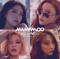 Mamamoo - Wind Flower (japanese Version A) - Music CD