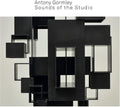 Gormley,antony - Antony Gormley - Vinyl Record