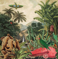 Lagoss - Imaginary Island Music 1: Canary Islands - Vinyl Record
