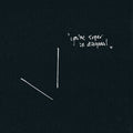 Ant Orange - You're Super In Diagonal - Music CD