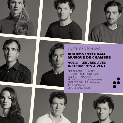 Brahms / Pujuila / Nemtanu - Integrale Musique De Chambre 3 - Music CD