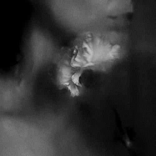 Holding Absence - Holding Absence - Music CD