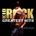 Greatest Hits: You Never Saw Coming [LP] Vinyl Record