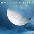 Music For Sleep / Various - Music For Sleep / Various - Music CD
