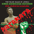 Bucknor,kings Aigbologa - Katakata - Vinyl Record