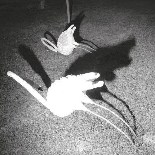 Amini,siavash - Mimesis Of Nothingness - Vinyl Record