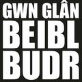 Lleuwen - Gwn Glan Beibl Budr - Music CD