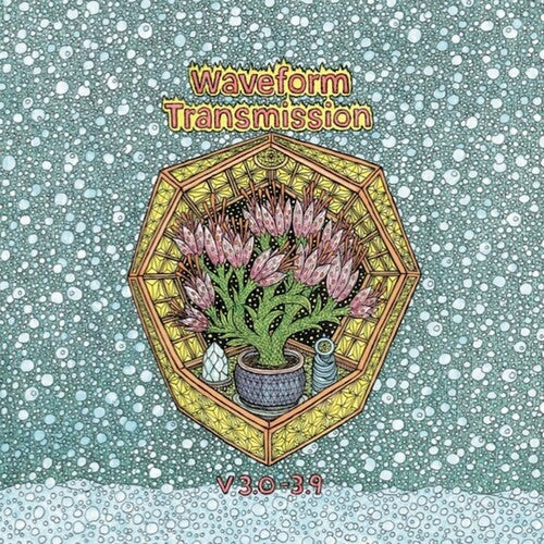 Waveform Transmission - V 3.0 - 3.9 - Vinyl Record
