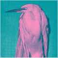 Joannes - Got Needs - Vinyl Record