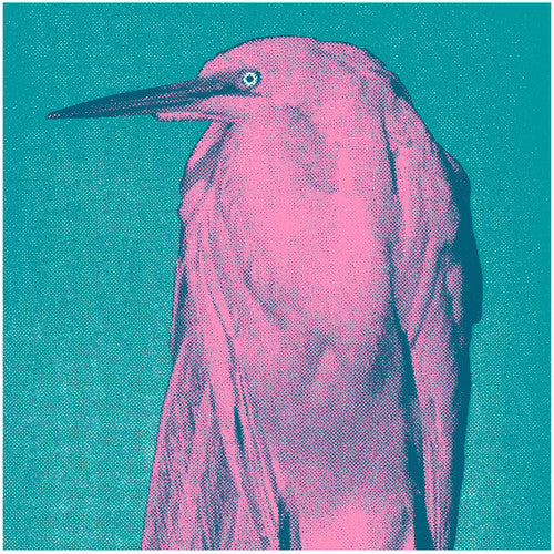Joannes - Got Needs - Vinyl Record