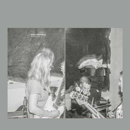 Hedvig Mollestad Trio - Smells Funny - Music CD