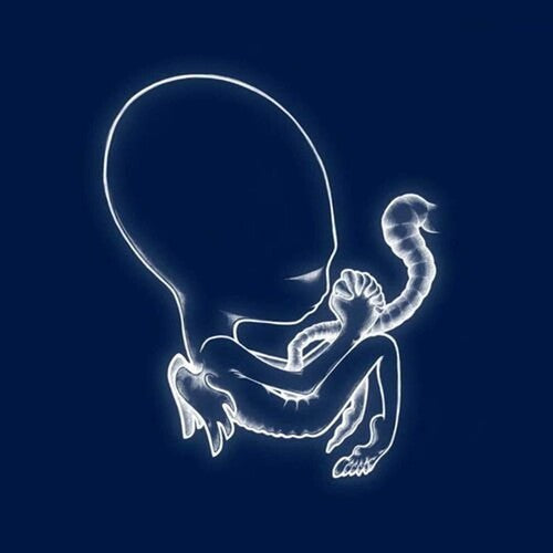 Sigur Ros - Agaetis Byrjun - Vinyl Record