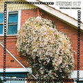 Surprise Chef - Daylight Savings - Vinyl Record