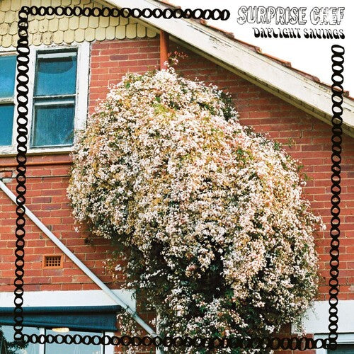 Surprise Chefl - Daylight Savings - Music CD