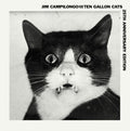 Campilongo,jim / Ten Gallon Cats - Campilongo Jim & 10 Gallon Cats - Vinyl Record