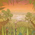 Pine Barons - Mirage On The Meadow - Vinyl Record