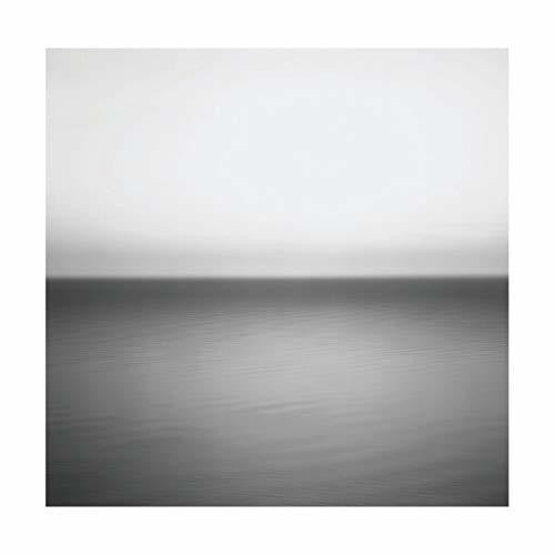 U2 - No Line On The Horizon - Vinyl Record