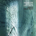 Torn,david / Berne,tim / Smith,ches - Sun Of Goldfinger - Music CD
