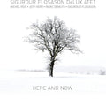 Flosason,sigurdur - Here & Now - Music CD
