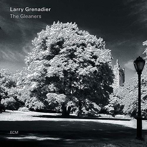 Grenadier,larry - Gleaners - Music CD