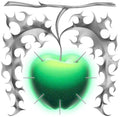 Cook,a.g. - Apple - Vinyl Record