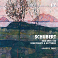 Schubert / Busch Trio - Trio 100 - Music CD