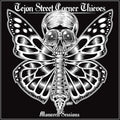 Tejon Street Corner Thieves - Monarch Sessions - Music CD