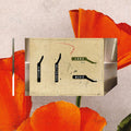 Junk Magic - Compass Confusion - Music CD