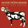 Melvoin,mike - Plastic Cow Goes Moooooog - Vinyl Record