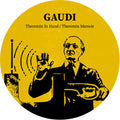 Gaudi - Theremin In Hand - Vinyl Record