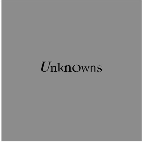 Dead C - Unknowns - Vinyl Record