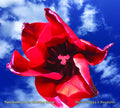 Roedelius,hans-joachim / Begg,michael - Two Gather In The Waiting Room - Music CD